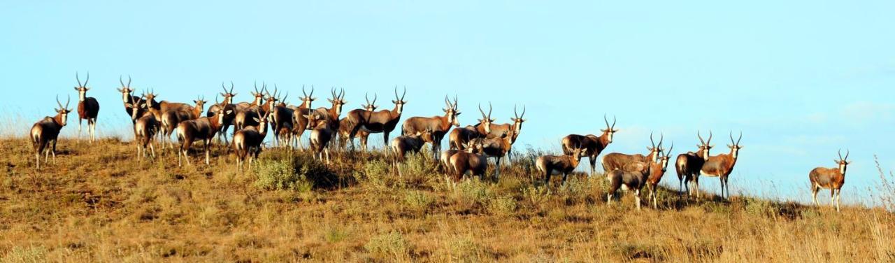 Komati Gorge Lodge, R 36 Halfway Between Carolina And Machadodorp Bagian luar foto